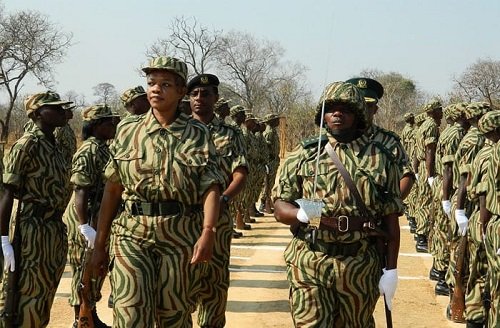 Zambia Wildlife Authority Recruitment Shortlisted Candidates 2025