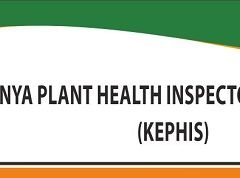 KEPHIS Internship Shortlisted Candidates 2025 (PDF Download)
