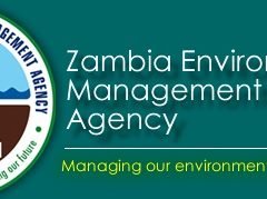 How To Apply for Zambia Environmental Management Agency Recruitment 2025