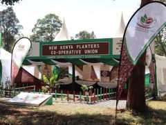 NEW KPCU PLC Recruitment Shortlisted Candidates 2025