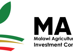 MAIIC Recruitment Shortlisted Candidates 2025/2026 (PDF) MAIIC Recruitment Shortlisted Candidates 2025/2026 (PDF)