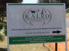KALRO Shortlisted Candidates 2025/2026 (PDF Download)