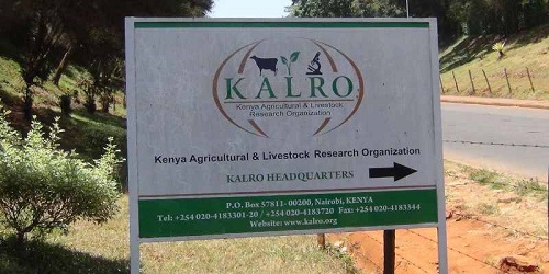 KALRO Internship Shortlisted Candidates