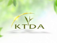KTDA Internship 2025/2026 Online Application Form
