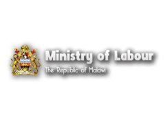 Malawi Ministry of Labour Internship 2025 Application Form Malawi Ministry of Labour Internship 2025 Application Form
