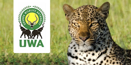 Uganda Wildlife Authority Shortlisted Candidates
