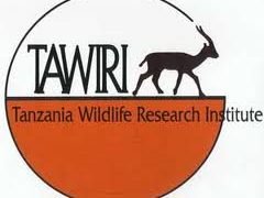 Tanzania Wildlife Research Institute Shortlisted Candidates 2025 Tanzania Wildlife Research Institute Shortlisted Candidates 2025