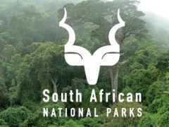 SANParks Recruitment Shortlisted Candidates 2025 (PDF)