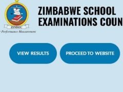 How To Check Your ZIMSEC Results Online In 2025 (PDF)