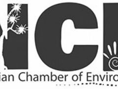 Namibian Chamber of Environment Bursary Application Form 2025 Namibian Chamber of Environment Bursary Application Form 2025